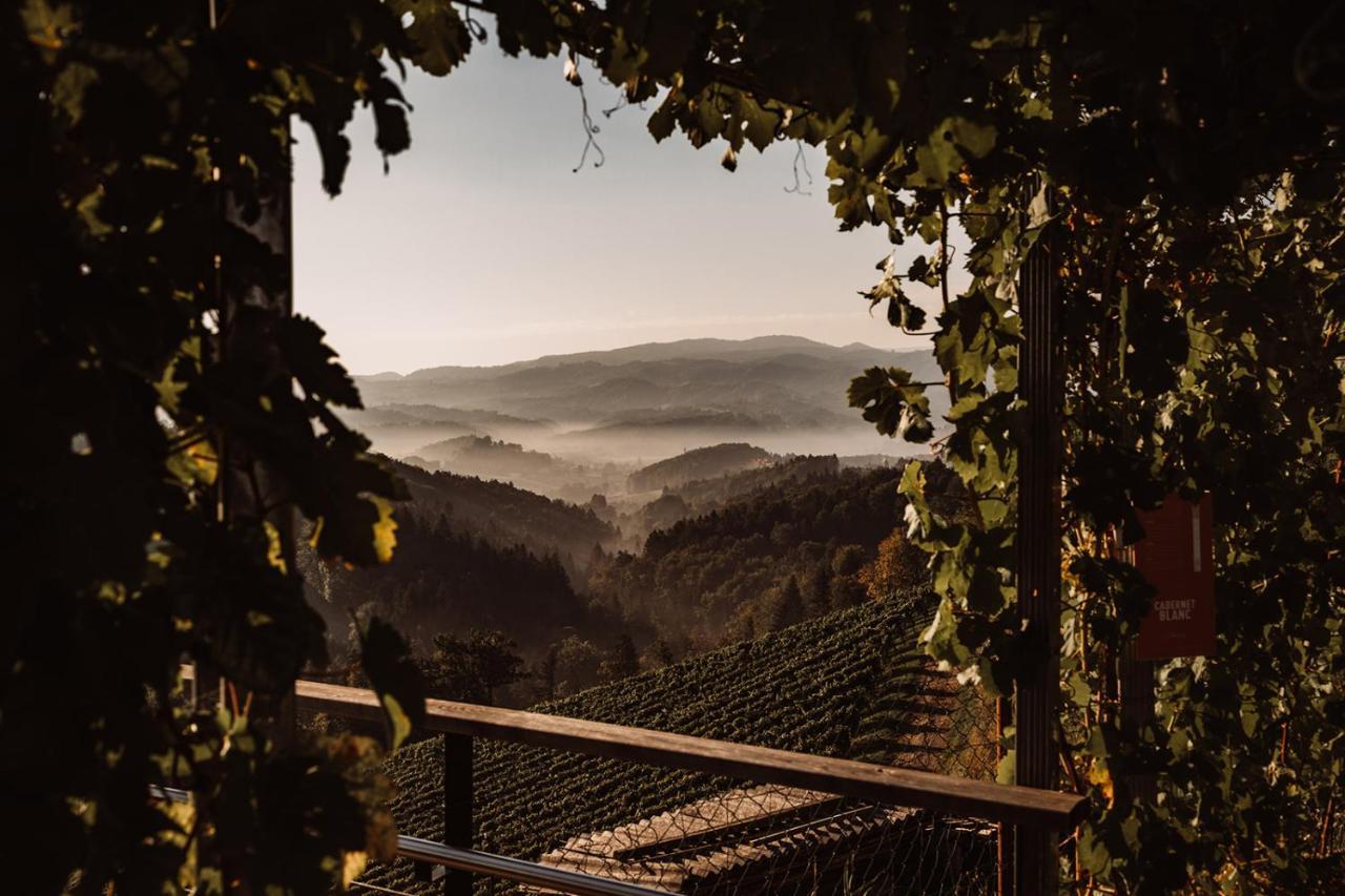 Weingut Kollerhof Am Eichberg Villa Leutschach Ngoại thất bức ảnh