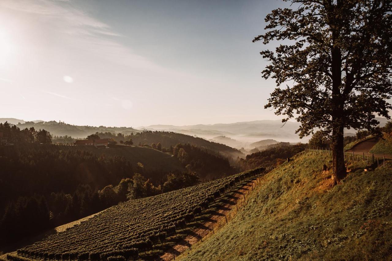 Weingut Kollerhof Am Eichberg Villa Leutschach Ngoại thất bức ảnh