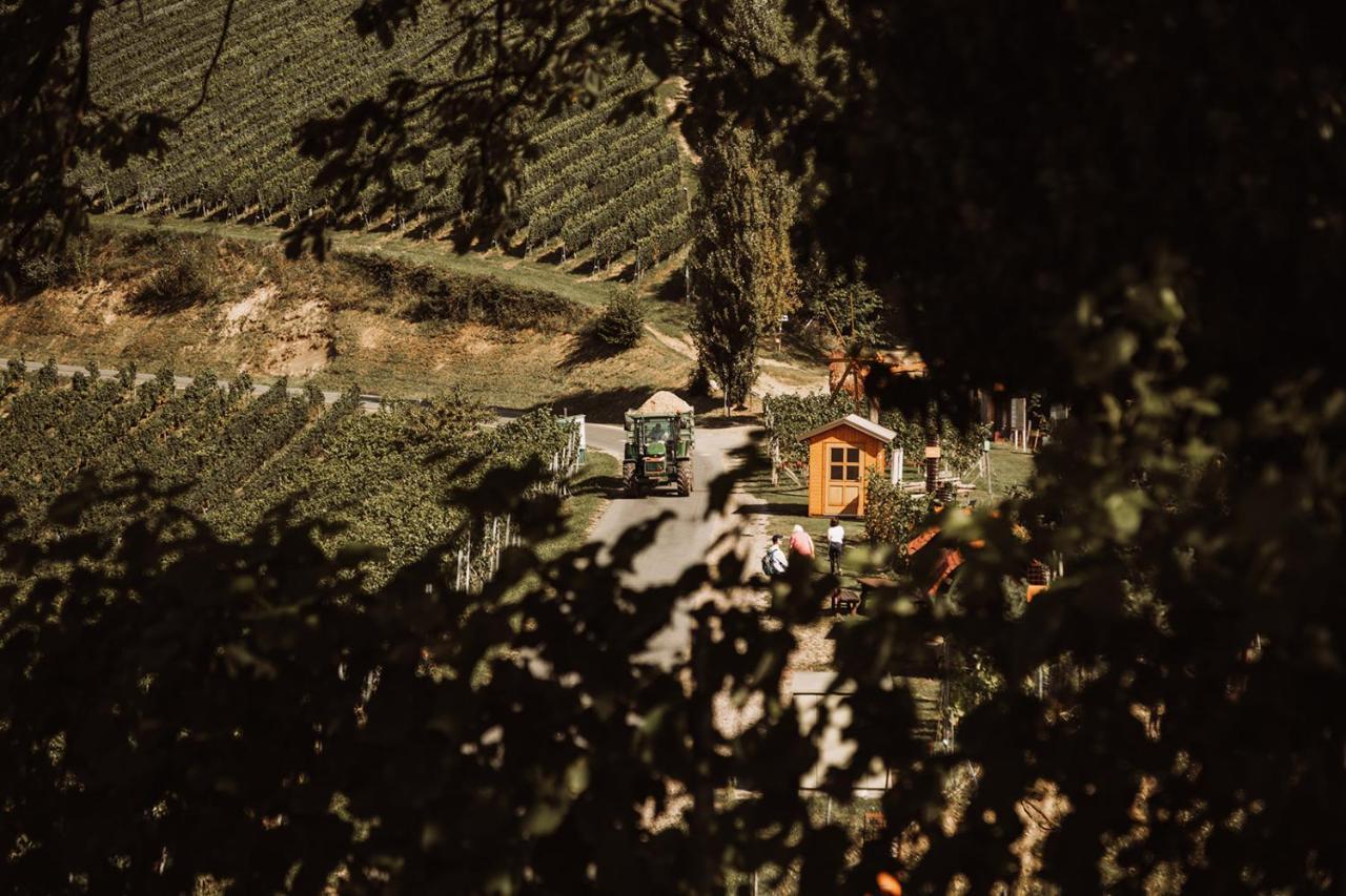 Weingut Kollerhof Am Eichberg Villa Leutschach Ngoại thất bức ảnh