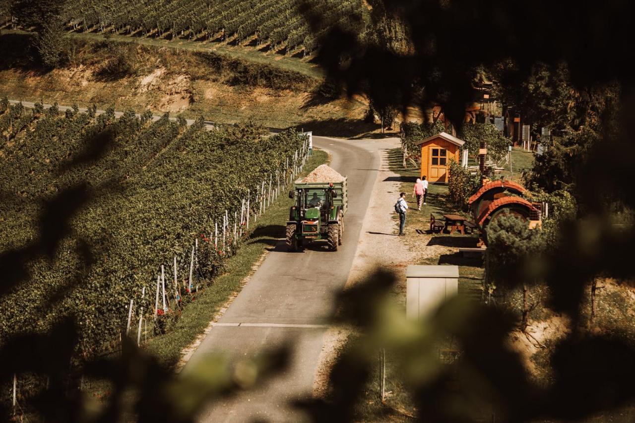 Weingut Kollerhof Am Eichberg Villa Leutschach Ngoại thất bức ảnh
